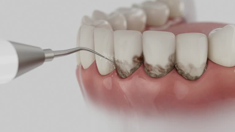 Reliable Dental contractor in North Cape May, NJ by Dentist Open Now